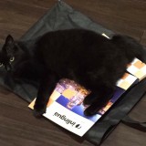 春休み短期留学