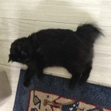 サブリナの憂鬱 3.  Sabrina's depressed -Part 3 - The Last Story