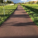 秋を感じにお散歩 