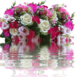 誰も知らない小さな卒業式