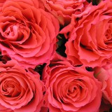 【WE English School 1周年記念パーティ】開催のお知らせ