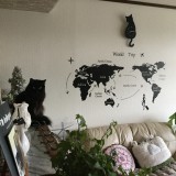 【募集クラス】あります！