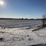 本年度はお世話になりました。