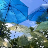 The summer solstice is almost here