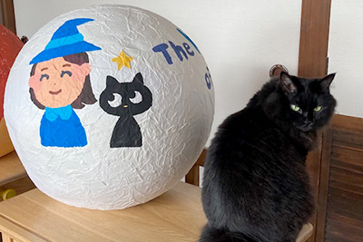 コース／料金について